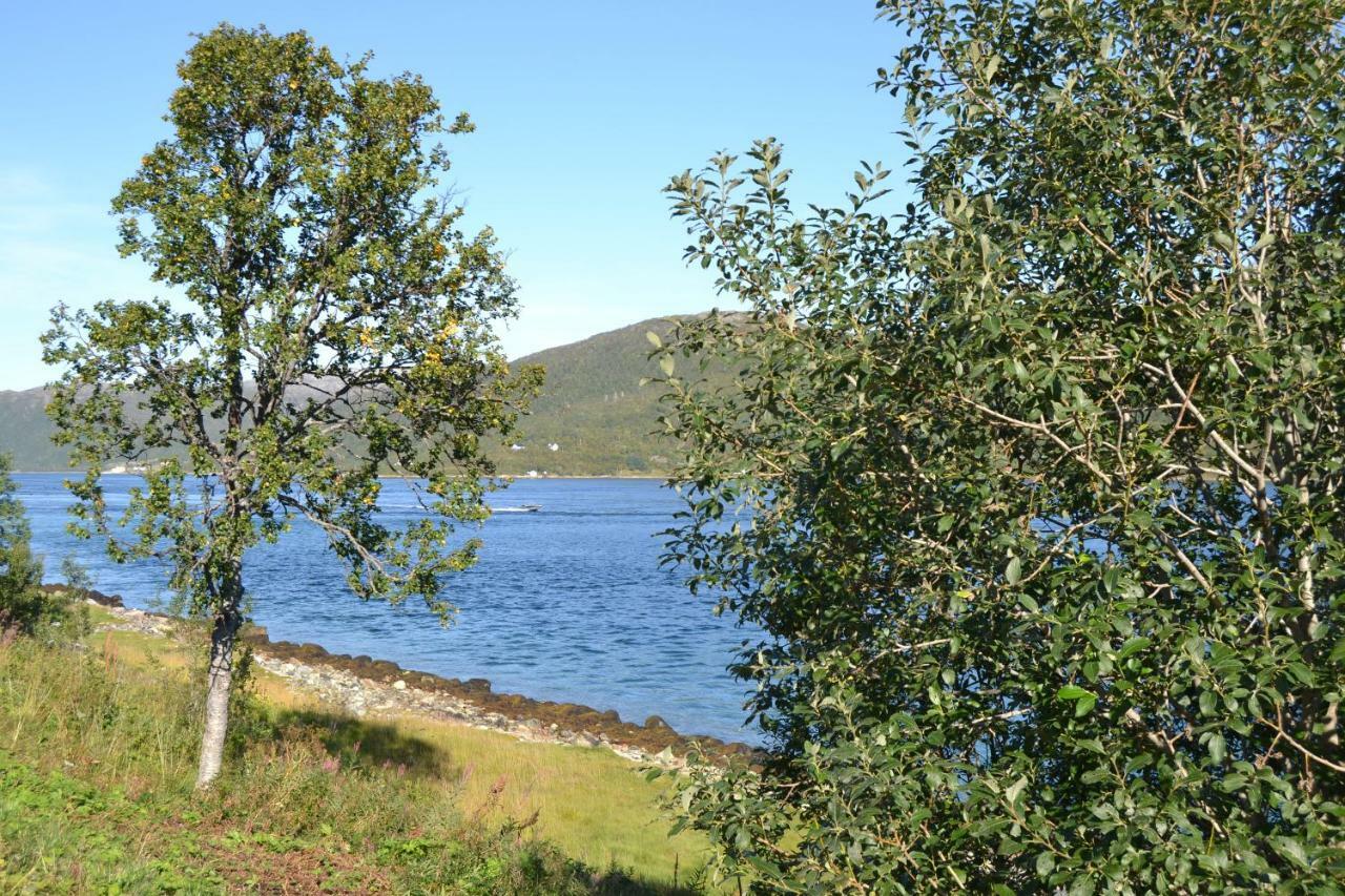 Kvaloya Lodge Futrikelv Exterior foto